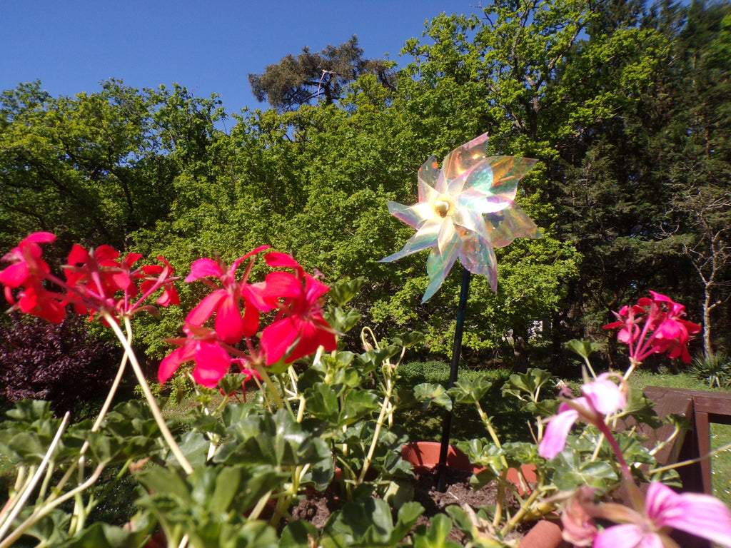 Flowers in the Wind – Toile imprimée fleurs de Bretagne