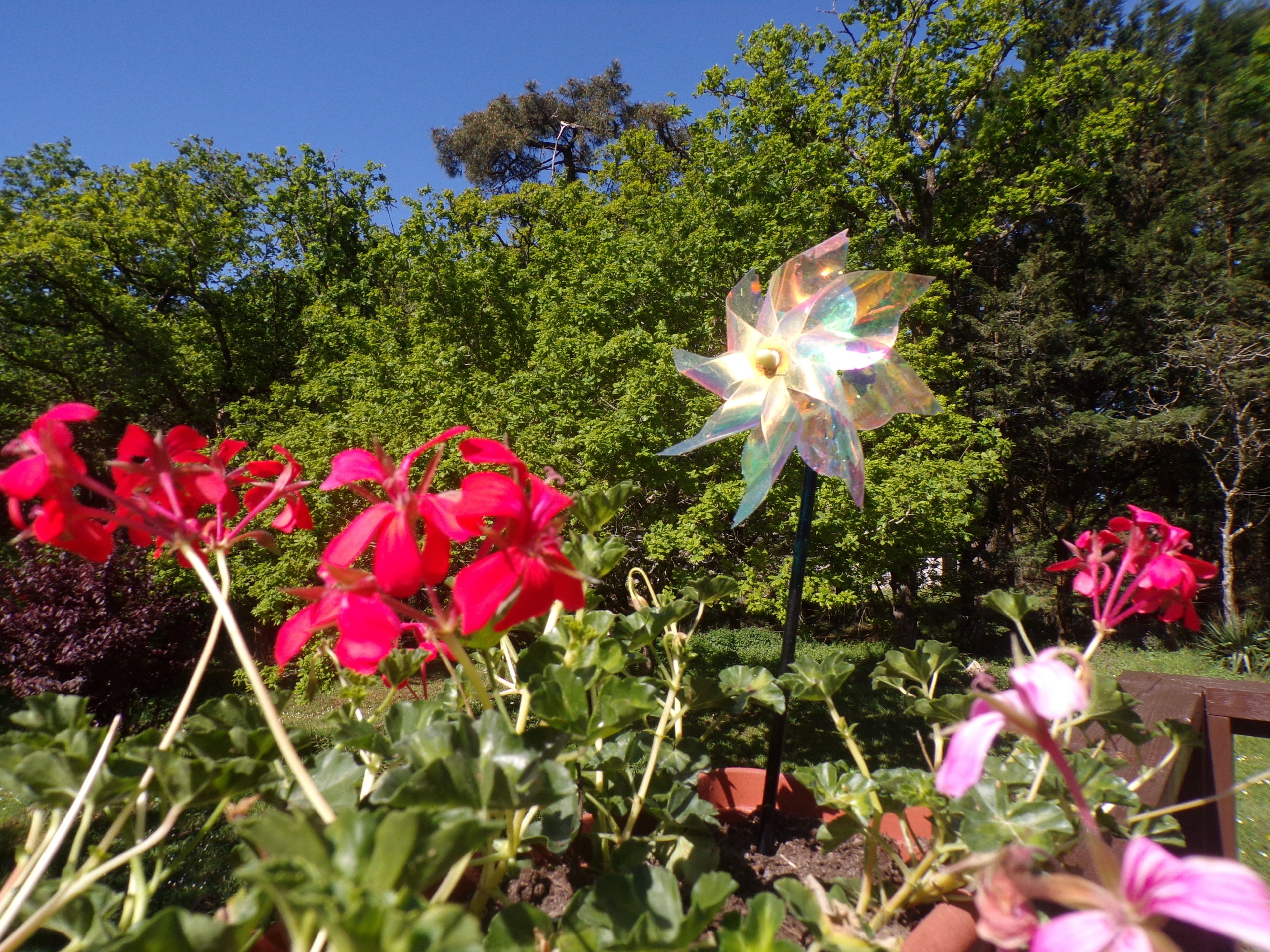 Flowers in the Wind – Toile imprimée fleurs de Bretagne